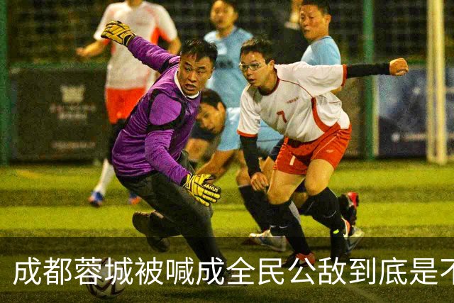 成都蓉城被喊成全民公敌到底是不是真的，看完五月申花主场那场六万多人看球就知道答案